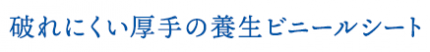pc_2011oosouji_04-05 pc_2011oosouji_04-05