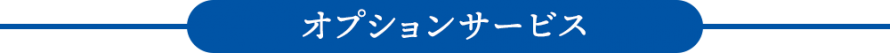 pc_2011oosouji_opt-bl pc_2011oosouji_opt-bl
