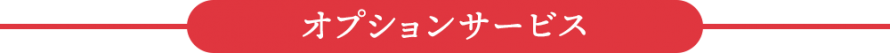 pc_2011oosouji_opt-rd pc_2011oosouji_opt-rd